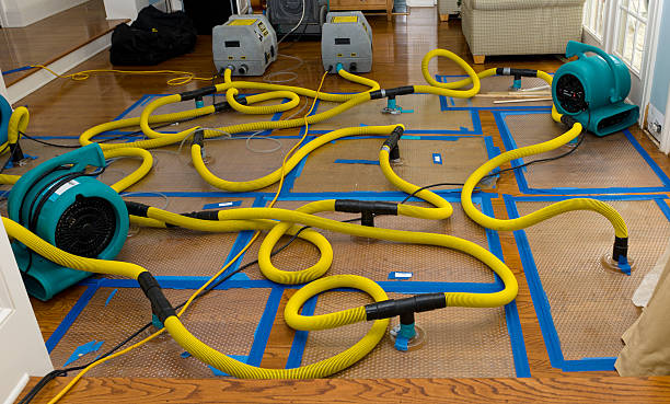 Professional Crawl Space Water Removal technician working in Schooleys Mountain, NJ